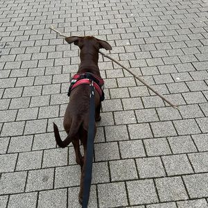 Meet your Posher, Hakim